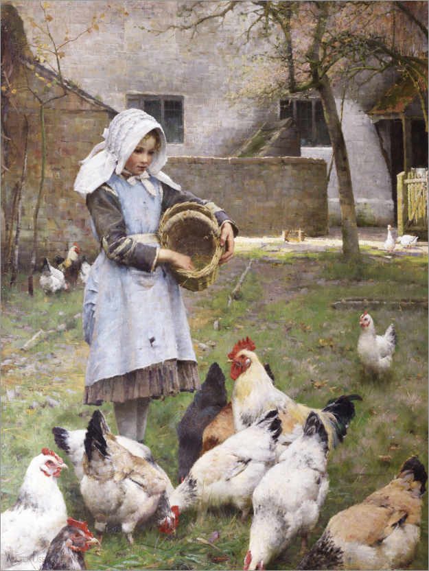 Poster Nourrir les poulets