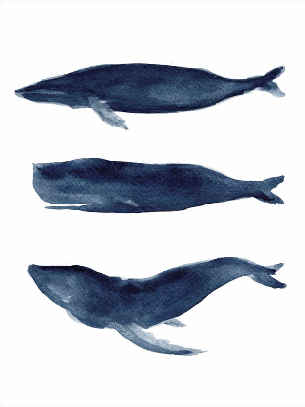 Poster Silhouettes bleues de baleines