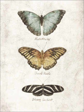 Tableau en bois  Papillons I - Mike Koubou