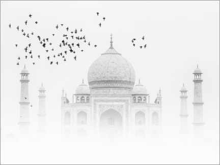 Poster Oiseaux au-dessus du Taj Mahal