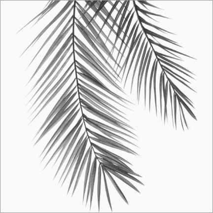 Tableau en verre acrylique  Feuilles de palmier - Sisi And Seb