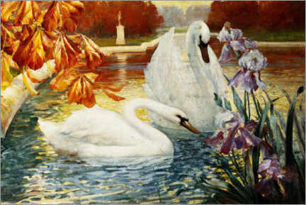 Poster  Cygnes sur un étang - Fernand Toussaint