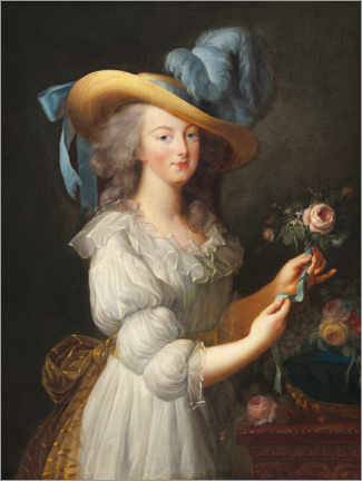 Poster Marie-Antoinette dans une robe en gaule
