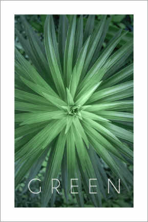 Poster Green 1