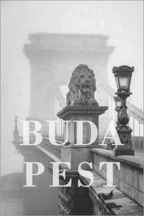 Poster Villes sous la pluie, Budapest