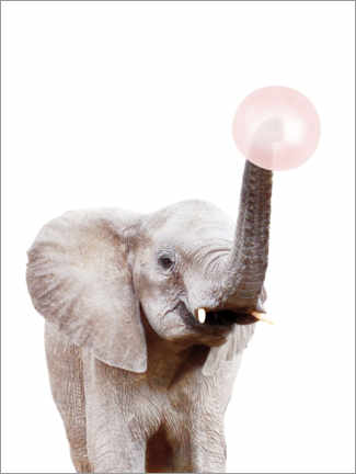 Poster Éléphant avec un chewing-gum