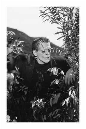 Tableau en bois  Frankenstein - Vintage shoot III
