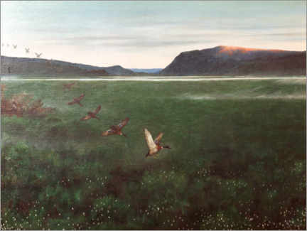 Poster  Les douze canards sauvages - Theodor Kittelsen