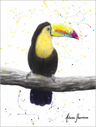 Poster  Toucan talentueux - Ashvin Harrison