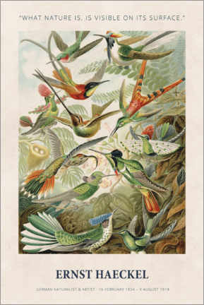 Tableau sur toile  Ernst Haeckel - What nature is - Ernst Haeckel
