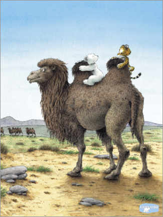 Poster  The little polar bear Lars on a camel