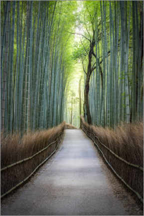 Tableau sur toile  Arashiyama Bambuswald, Kyoto, Japon - Jan Christopher Becke