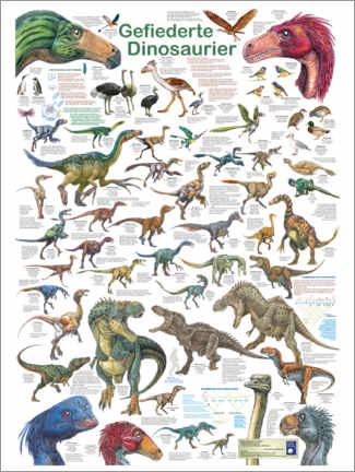 Tableau en PVC  Dinosaures pennés (allemand) - Planet Poster Editions