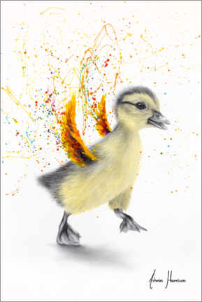 Poster  Dancing Duckling - Ashvin Harrison