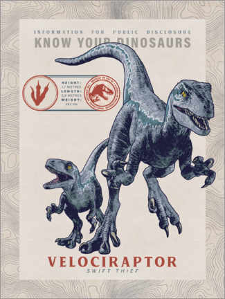 Poster  Jurassic World Velociraptor - Blue &amp; Baby