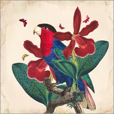 Tableau en plexi-alu  Oh My Parrot VII - Mandy Reinmuth