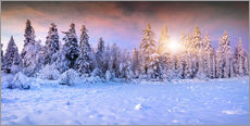 Tableau en plexi-alu  Lever du soleil dans la forêt en hiver