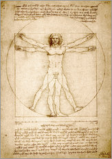 Sticker mural  Les proportions du corps humain selon Vitruve - Leonardo da Vinci