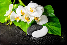 Tableau en plexi-alu  Orchidée blanche et yin yang