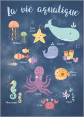 Poster  La vie aquatique - Kidz Collection