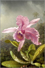 Tableau en plexi-alu  Colibri et orchidée (détail) - Martin Johnson Heade