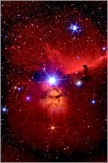 Poster Nébuleuse de la Tête de Cheval dans la constellation d'Orion
