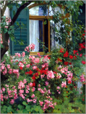 Poster  Des fleurs devant la fenêtre - Franz Grässel