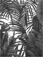 Poster Jungle tropicale