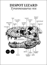 Tableau en bois  Crâne d'un Tyrannosaurus rex (anglais) - Velozee