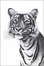 Poster  Tigre prenant la pose - Rose Corcoran