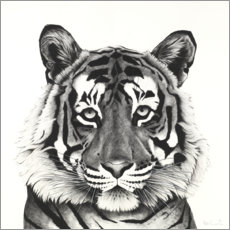 Tableau sur toile  Tête de tigre - Rose Corcoran