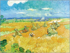 Poster  Champ de blé - Vincent van Gogh