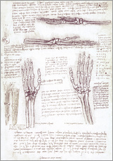 Tableau en plexi-alu  Étude anatomique d'une main - Leonardo da Vinci