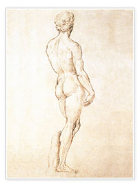 Poster  Étude de David - Michelangelo