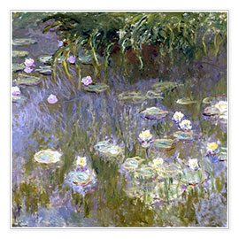 Poster  Nymphéas II - Claude Monet