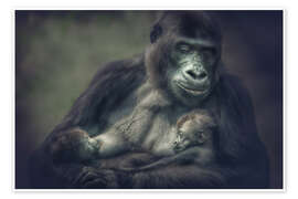 Poster  Gorilles jumeaux - Manuela Kulpa
