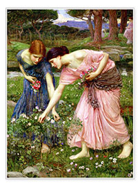 Poster Cueillette des roses en mai