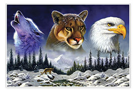 Poster  American wildlife - Chris Hiett