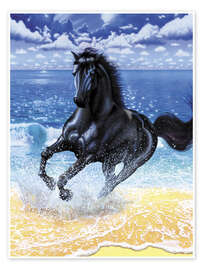 Poster Black stallion