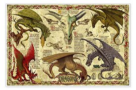 Poster  Étude de dragons - Garry Walton