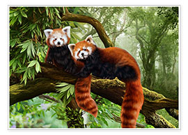 Poster  Pandas roux - Katarina Sokolova