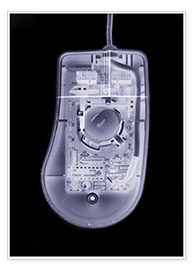 Poster  Radiographie d'une souris d'ordinateur - Mark Sykes