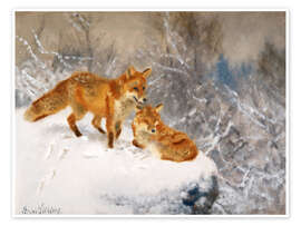 Poster Deux renards dans un paysage d'hiver