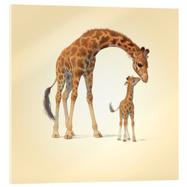 Tableau en verre acrylique  Girafe et son petit - John Butler
