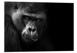 Tableau en PVC  Visage de gorille - WildlifePhotography