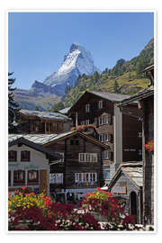 Poster  Zermatt avec le Cervin - Angelo Cavalli