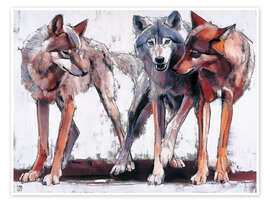 Poster Meute de loups