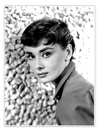 Poster  Audrey Hepburn