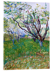 Tableau en verre acrylique  Verger en fleur - Vincent van Gogh