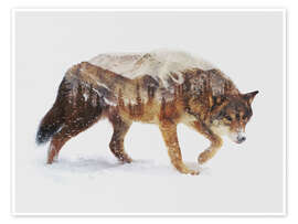Poster  Loup arctique - Andreas Lie